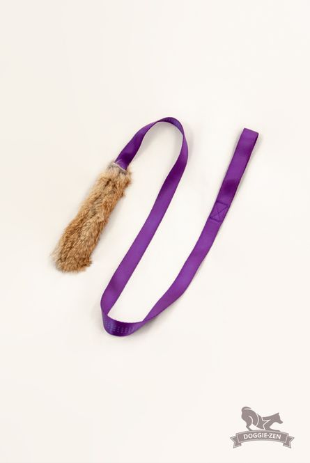 Hovedbilde Kaninjagarkampis 