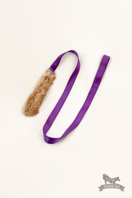 Hovedbilde Kaninjagarkampis 