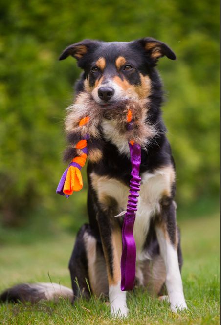 Hovedbilde Elastisk fleece/vaskebjørnflette