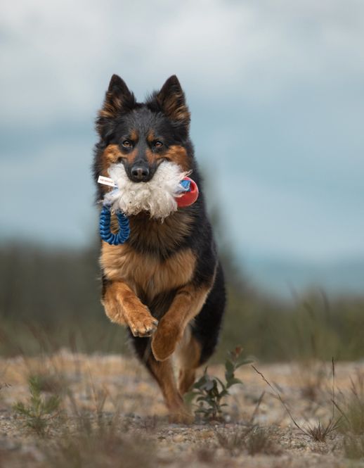 Hovedbilde Elastisk fickkampis fårskinn med Solid Amazing ...