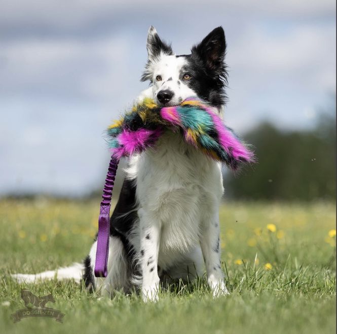 Hovedbilde Elastisk knitrekampis