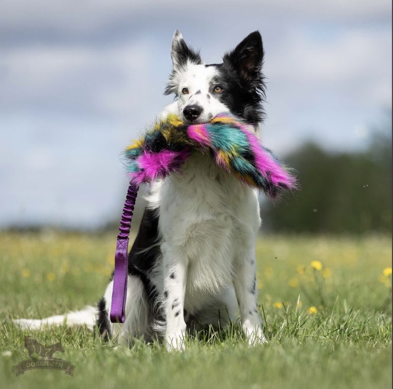 Elastisk knitrekampis