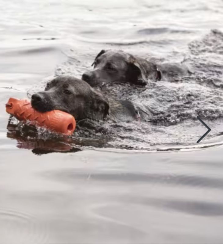 KONG Aqua Training Dummy L