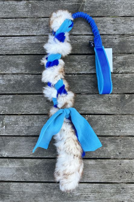 Hovedbilde Sirius Kometa