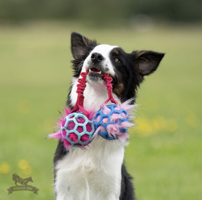 Hovedbilde Elastisk rakettball med Hol-ee Roller str S 