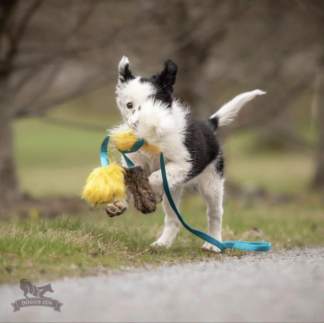 Hovedbilde Blekksprutpipjager S kanin + sau